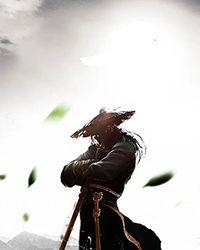 小狐狸5